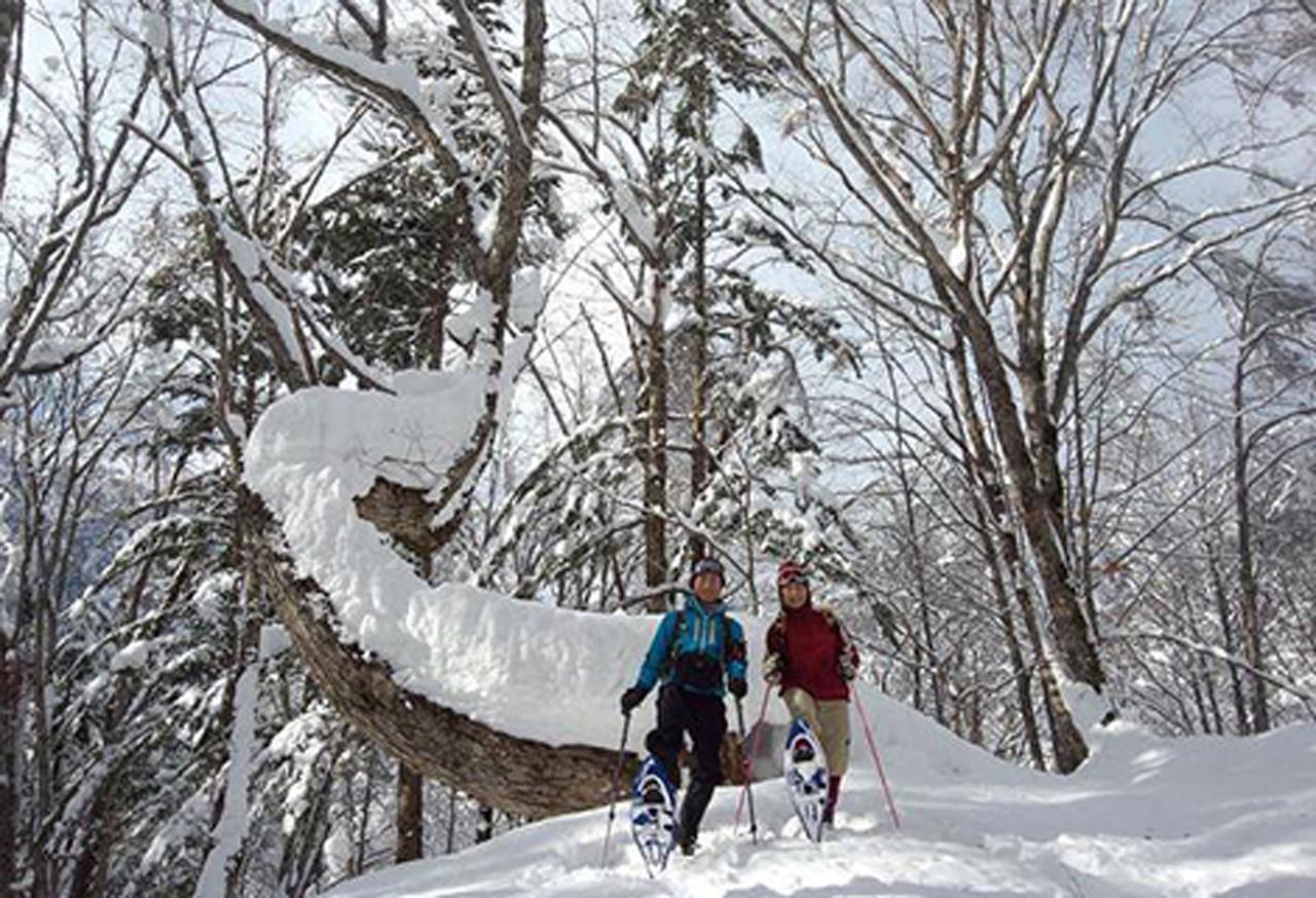 Resort Inn Chirorian Takayama (Gifu) Dış mekan fotoğraf