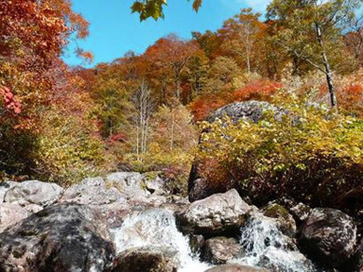 Resort Inn Chirorian Takayama (Gifu) Dış mekan fotoğraf